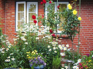 Appartement Oevenum Enregistrement extérieur 2