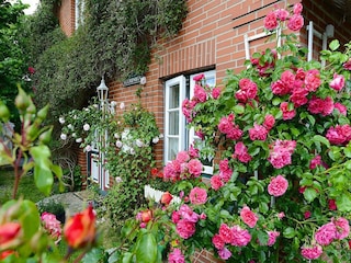 Appartement Oevenum Enregistrement extérieur 7