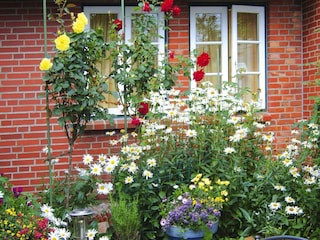 Appartement Oevenum  13