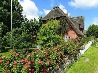 Appartement Oevenum Buitenaudio-opname 2