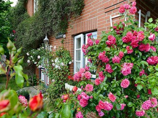 Appartement Oevenum Buitenaudio-opname 4