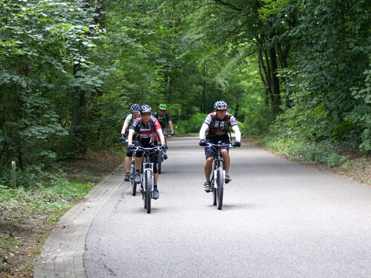 Ferienpark Baarlo Umgebung 25