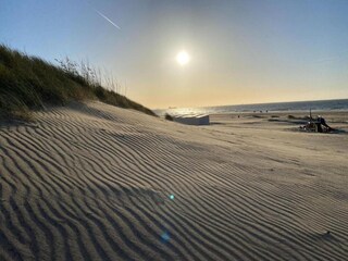 Vakantiepark Nieuwvliet Omgeving 21