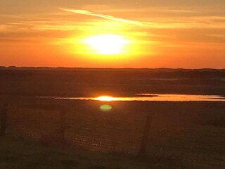 Parque de vacaciones Nieuwvliet Entorno 12