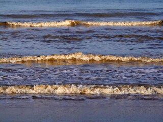 Ferienpark Nieuwvliet Umgebung 20