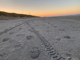 Parco vacanze Nieuwvliet Ambiente 11