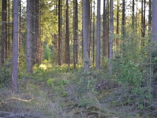 Vakantiepark Borger Omgeving 12