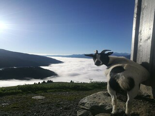 Vakantiehuis Hollersbach im Pinzgau  27