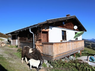 Vakantiehuis Hollersbach im Pinzgau Buitenaudio-opname 4