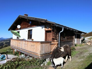 Holiday house Hollersbach im Pinzgau Outdoor Recording 6