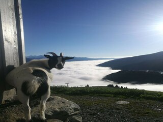 Casa de vacaciones Hollersbach im Pinzgau Grabación al aire libre 3