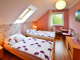 Parco vacanze Grzybowo Caratteristiche 15