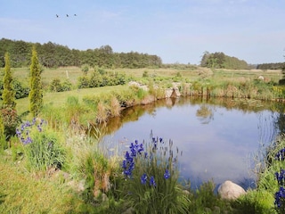 Holiday park Grzybowo  29