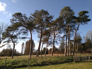 Ferienpark Barvaux-sur-Ourthe Umgebung 15