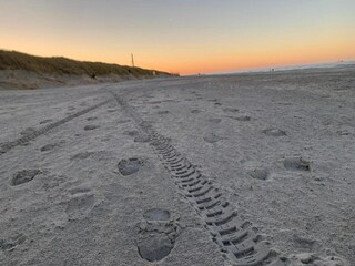 Parque de vacaciones Nieuwvliet Entorno 24