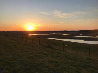 Ferienpark Nieuwvliet Umgebung 28