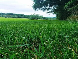 Parc de vacances Barvaux-sur-Ourthe Environnement 28