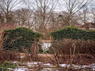 Ferienpark Epe Umgebung 24