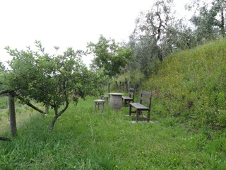 Parco vacanze Lamporecchio Registrazione all'aperto 3