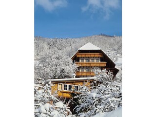 Vakantieappartement Bad Peterstal-Griesbach Buitenaudio-opname 7