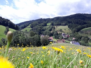 Holiday apartment Bad Peterstal-Griesbach Environment 38
