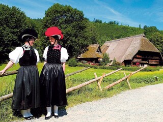 Apartamento de vacaciones Bad Peterstal-Griesbach Entorno 29