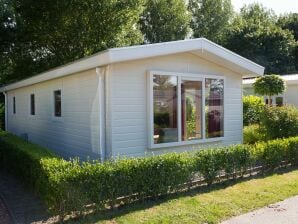 Ferienpark Chalet mit Spülmaschine, Naherholungsgebiet - Langedijk - image1