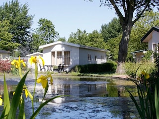 Ferienpark Langedijk Umgebung 25