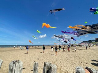 Ferienpark Nieuwvliet Umgebung 24