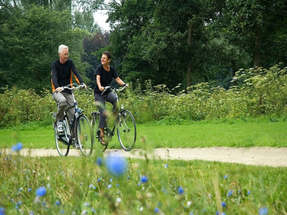 Ferienpark Baarlo Umgebung 18