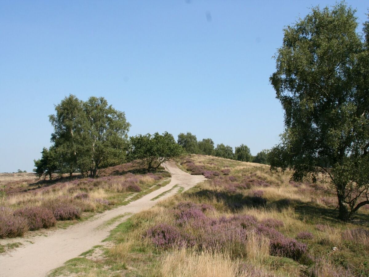 Ferienpark Baarlo Umgebung 9