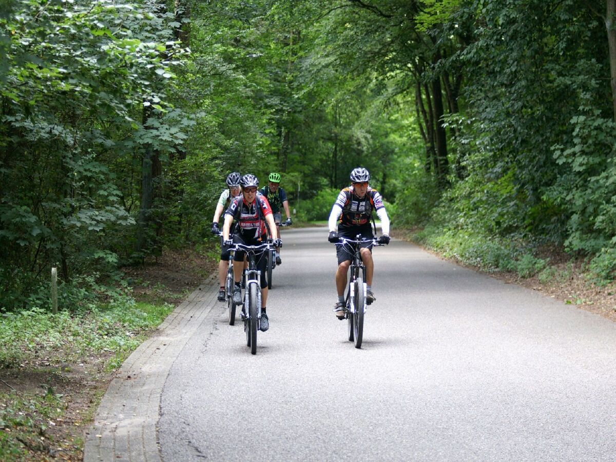 Ferienpark Baarlo Umgebung 19