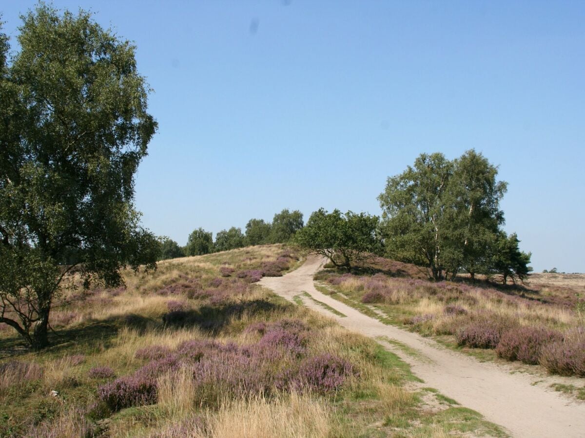 Ferienpark Baarlo Umgebung 24