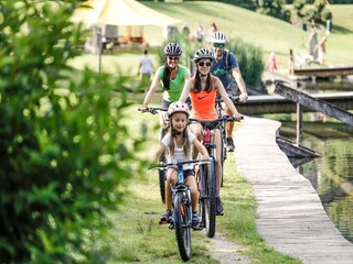 Appartamento Fügen Ambiente 46