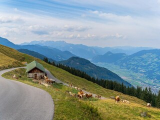 Appartamento Fügen Ambiente 35