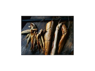 Ferienpark Kolberg Umgebung 27