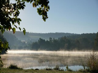 Parc de vacances Sonnen Environnement 12