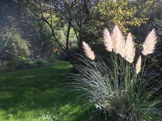Parc de vacances Sonnen Environnement 22