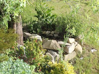Vakantiepark Sonnen Omgeving 16