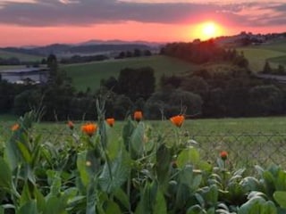 Parque de vacaciones Sonnen Entorno 30