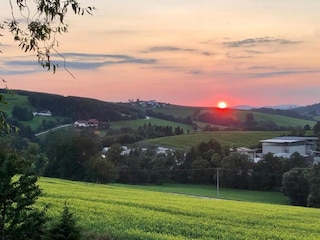 Ferienpark Sonnen Umgebung 31