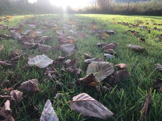 Parc de vacances Sonnen Environnement 12