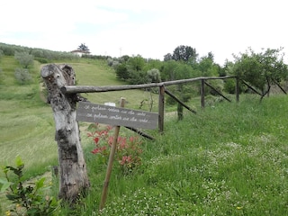 Ferienpark Lamporecchio Außenaufnahme 2