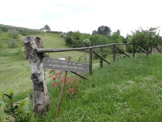 Holiday park Lamporecchio Outdoor Recording 2
