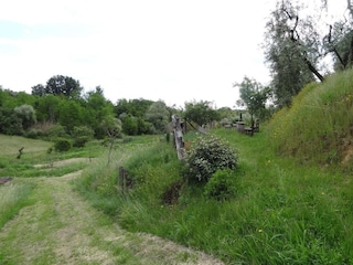 Ferienpark Lamporecchio Außenaufnahme 10