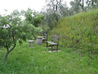 Vakantiepark Lamporecchio Buitenaudio-opname 12