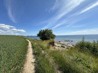 Wanderweg Steilküste