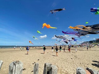 Vakantiepark Nieuwvliet Omgeving 19