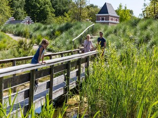 Ferienpark Doornspijk Umgebung 18