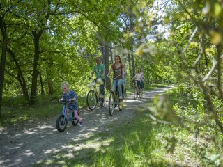 Parc de vacances Borger Environnement 12